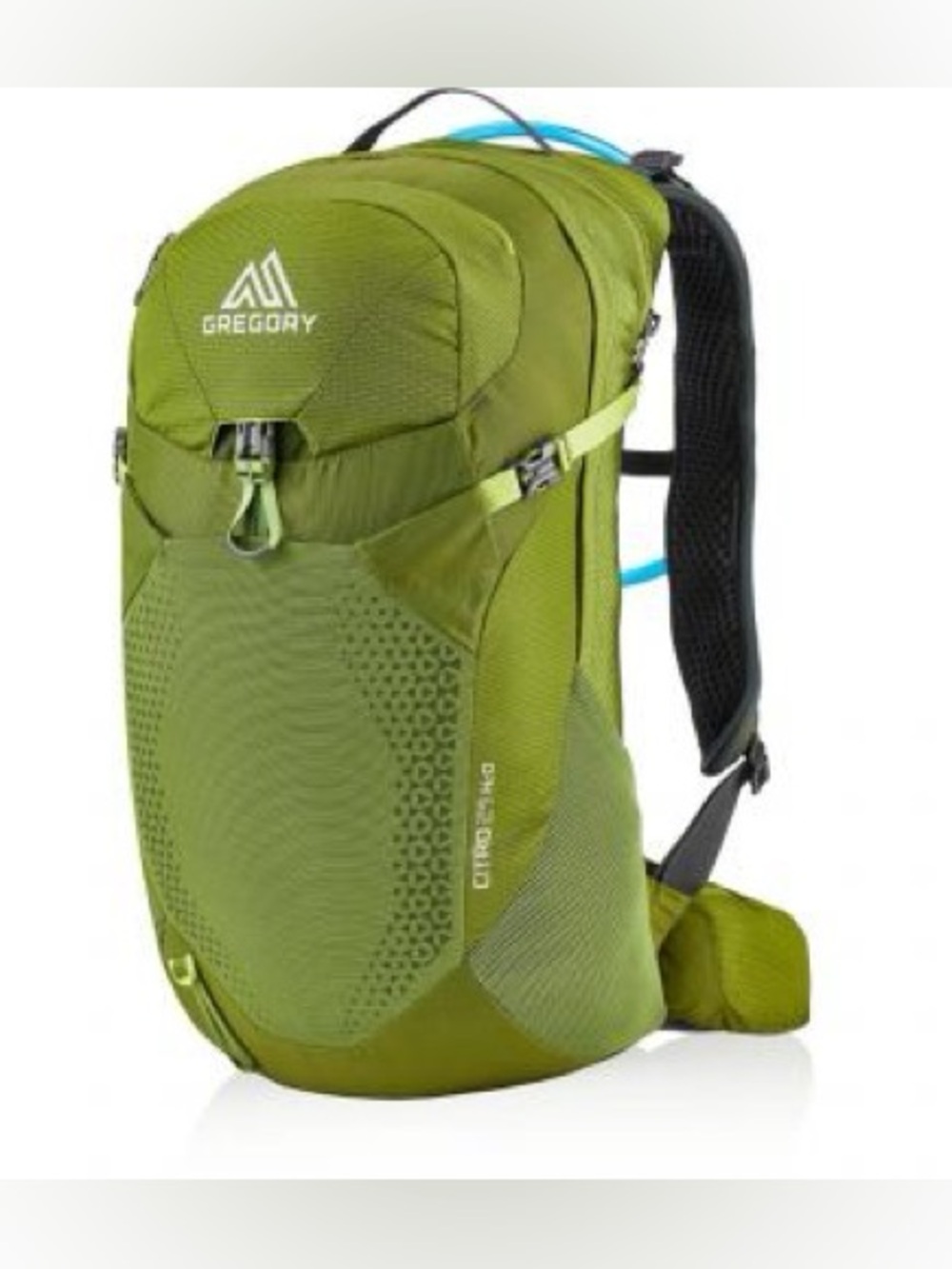 Gregory 30L Hiking Pack